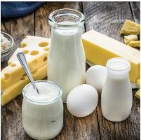 dairy